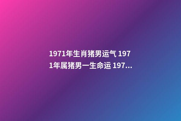 1971年生肖猪男运气 1971年属猪男一生命运 1971年属猪男人命运-第1张-观点-玄机派